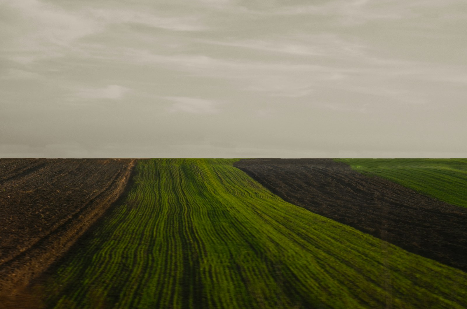 Talaj tápanyag utánpótlás és zsákos bentonit
